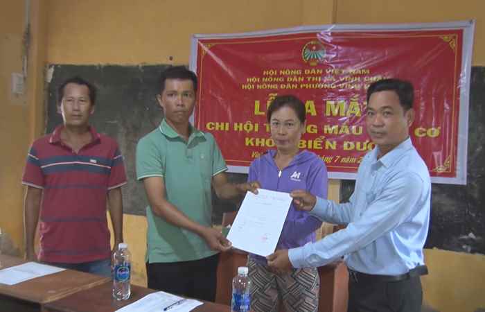 Ra mắt Chi hội nghề nghiệp trồng màu hữu cơ tại phường Vĩnh Phước, TX. Vĩnh Châu
